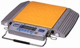 CAS RW Series Wheelweigher Scales