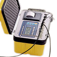 CAS RW-2601P indicator